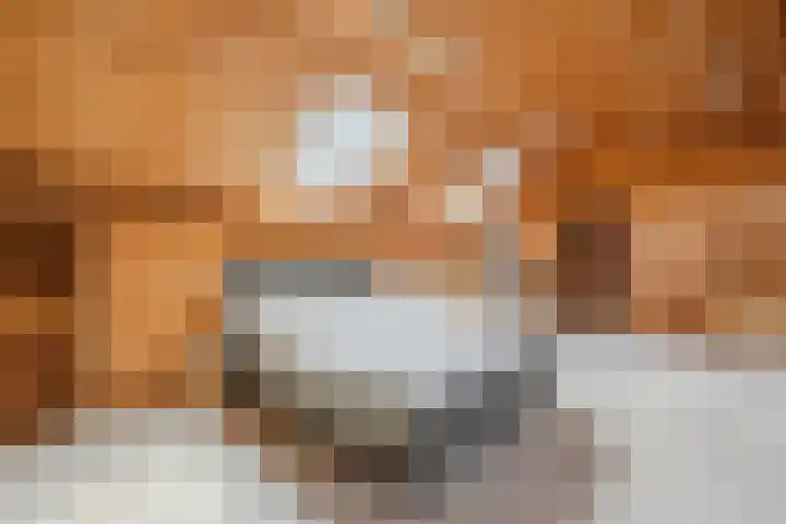 Oosteinde 10 Nieuwleusen thumbnail 22