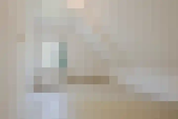 Oosteinde 10 Nieuwleusen thumbnail 25