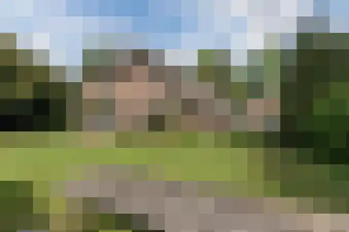Oosteinde 10 Nieuwleusen thumbnail 29