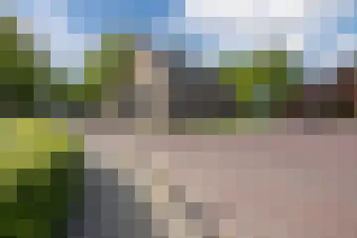 Oosteinde 10 Nieuwleusen foto 3