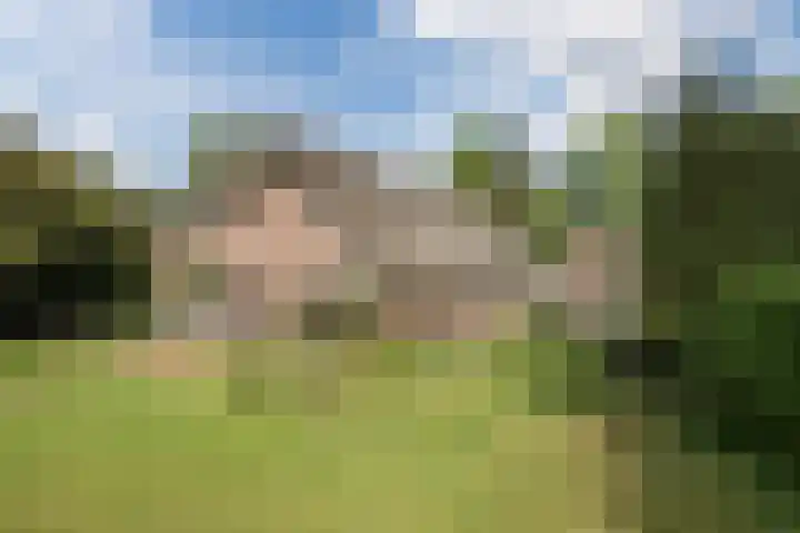 Oosteinde 10 Nieuwleusen thumbnail 30