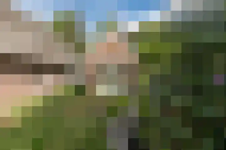 Oosteinde 10 Nieuwleusen thumbnail 31