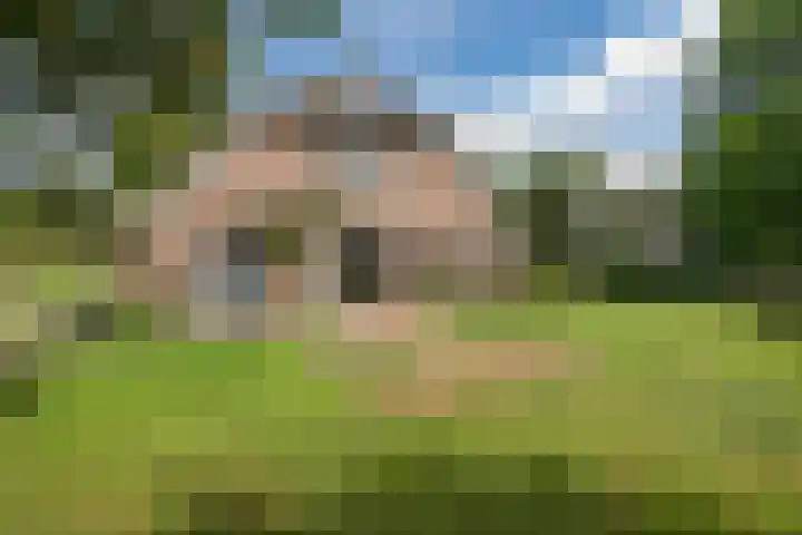 Oosteinde 10 Nieuwleusen thumbnail 32