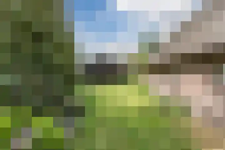 Oosteinde 10 Nieuwleusen thumbnail 33