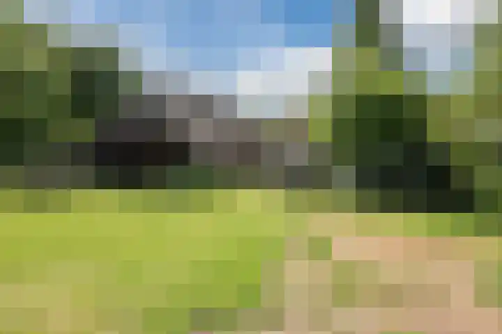 Oosteinde 10 Nieuwleusen thumbnail 34