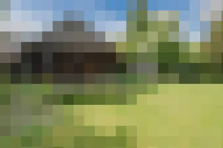 Oosteinde 10 Nieuwleusen thumbnail 35