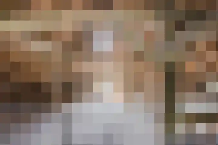 Oosteinde 10 Nieuwleusen thumbnail 36