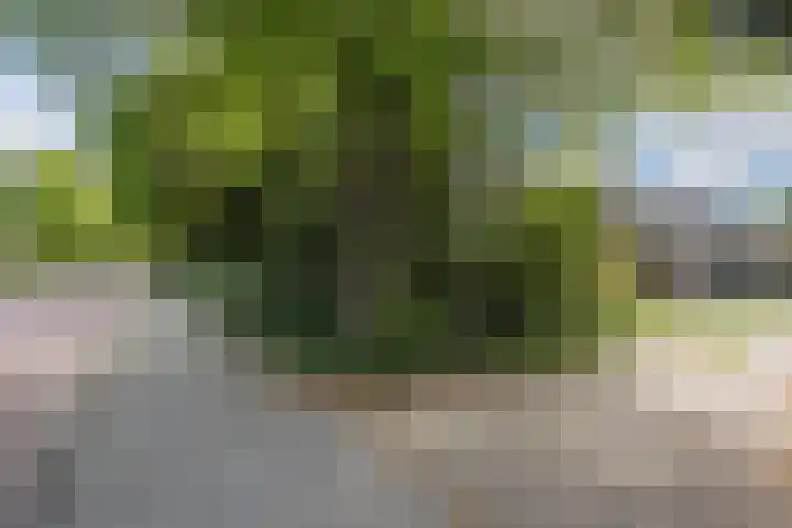 Oosteinde 10 Nieuwleusen thumbnail 38