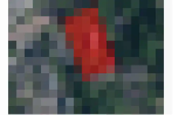 Oosteinde 10 Nieuwleusen thumbnail 42