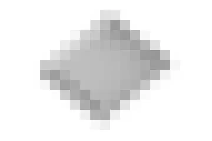 Oosteinde 10 Nieuwleusen thumbnail 48