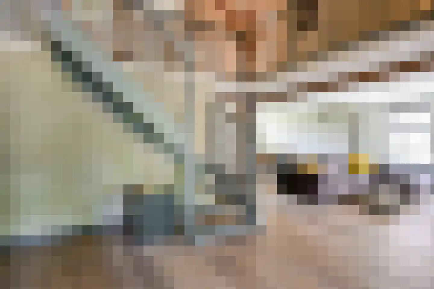 Oosteinde 10 Opperdoes thumbnail 12