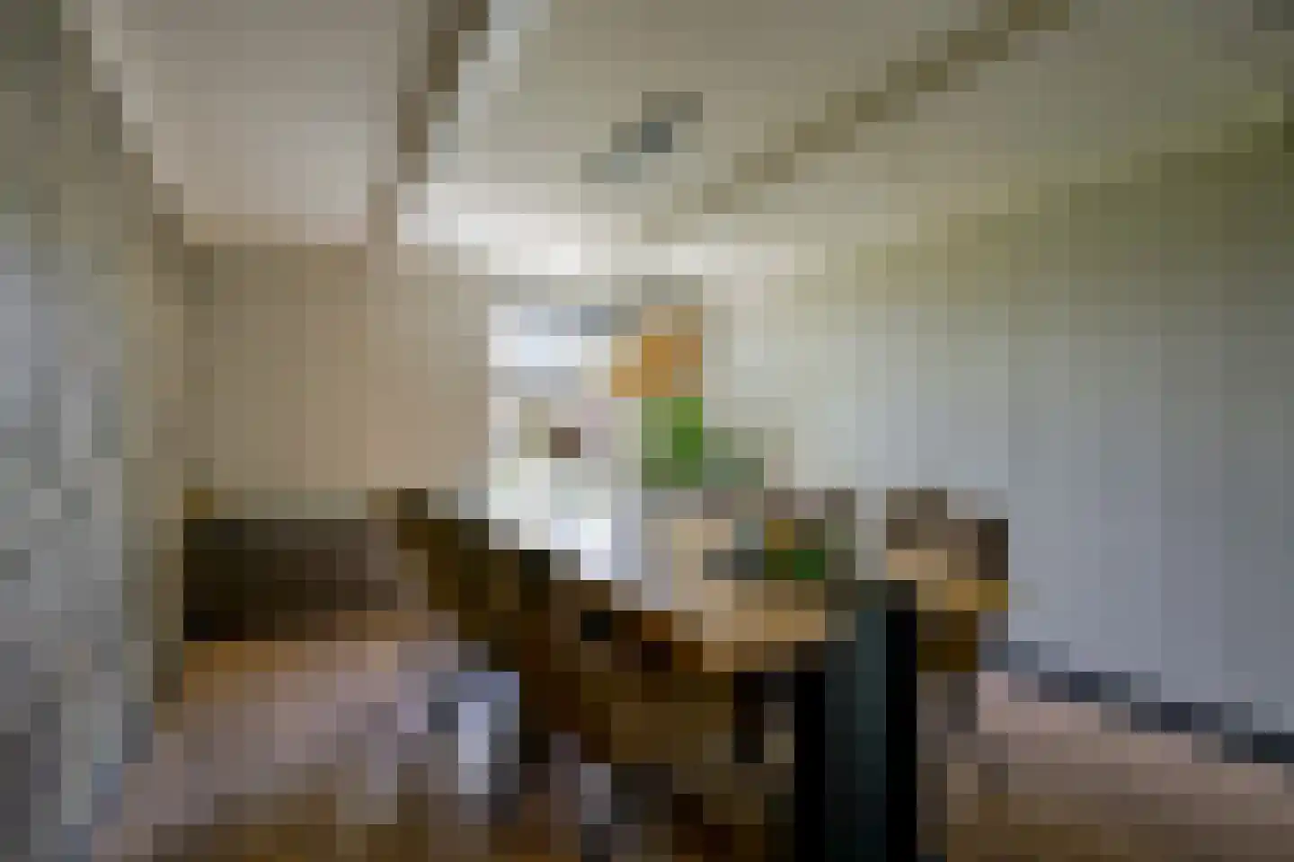Oosteinde 10 Opperdoes thumbnail 13