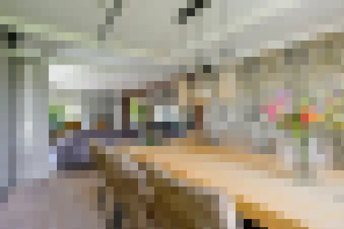 Oosteinde 10 Opperdoes thumbnail 14
