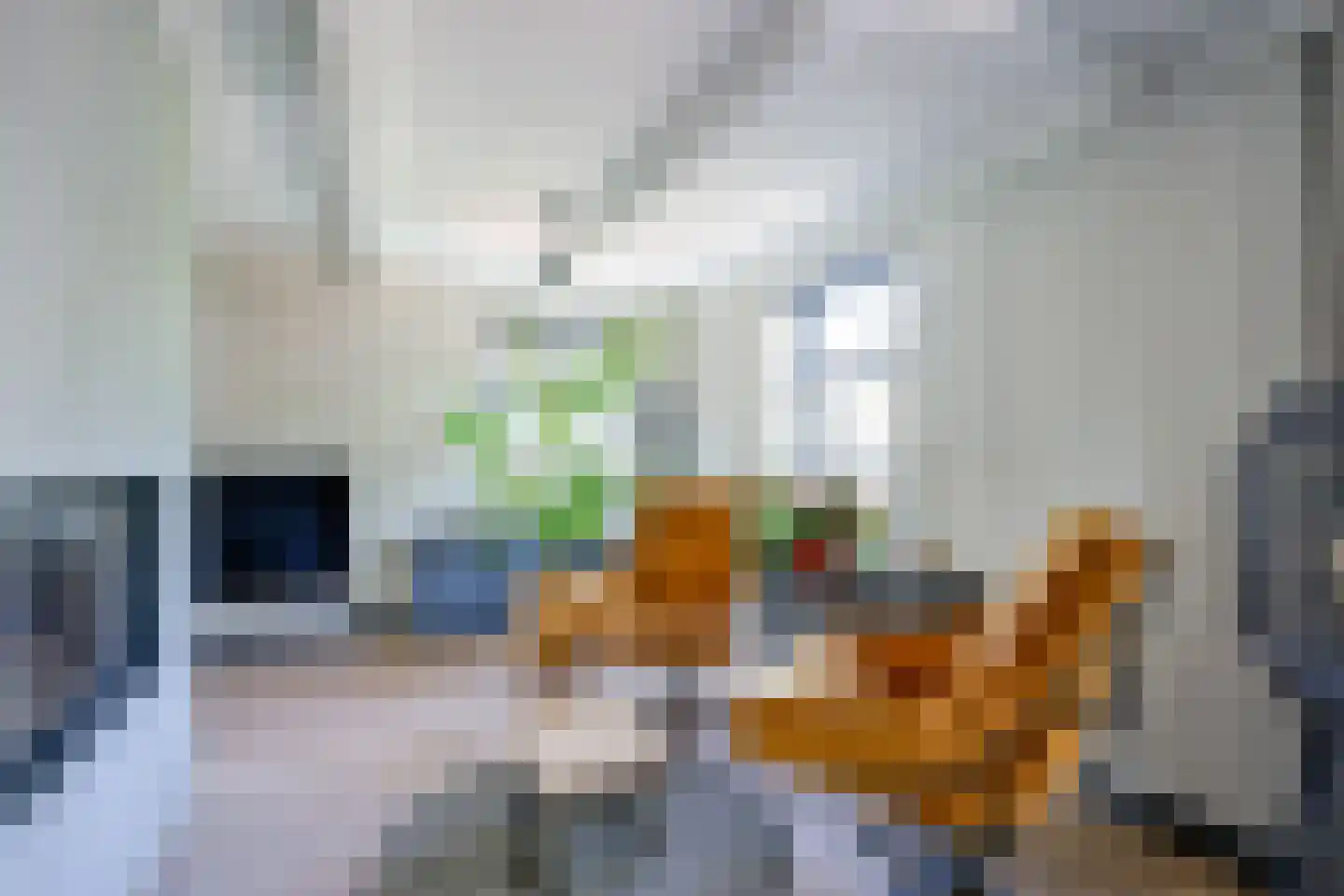 Oosteinde 10 Opperdoes thumbnail 17