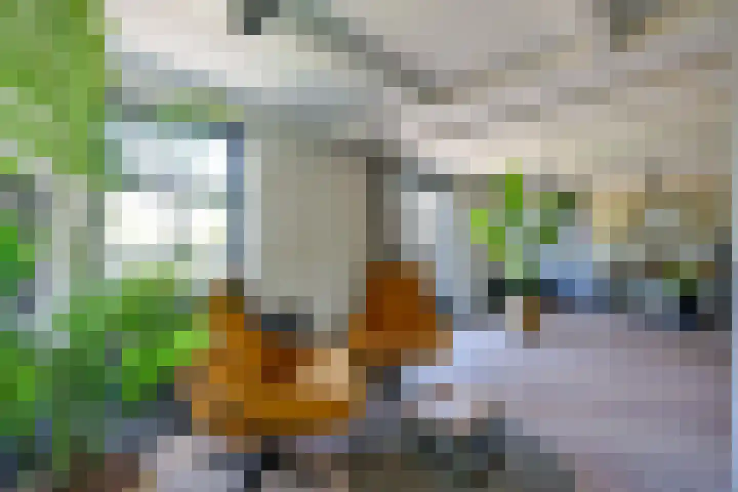 Oosteinde 10 Opperdoes thumbnail 18