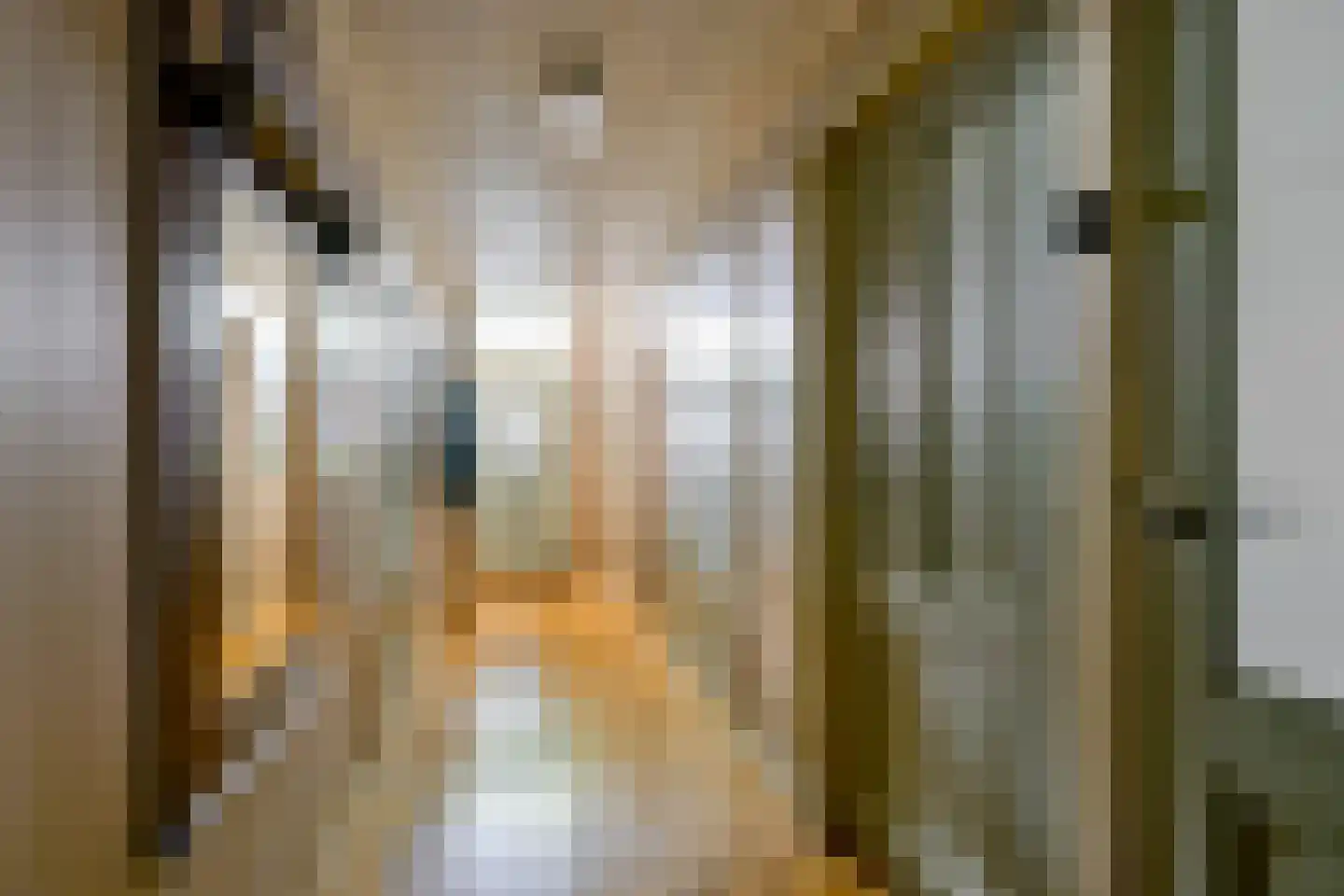 Oosteinde 10 Opperdoes thumbnail 26