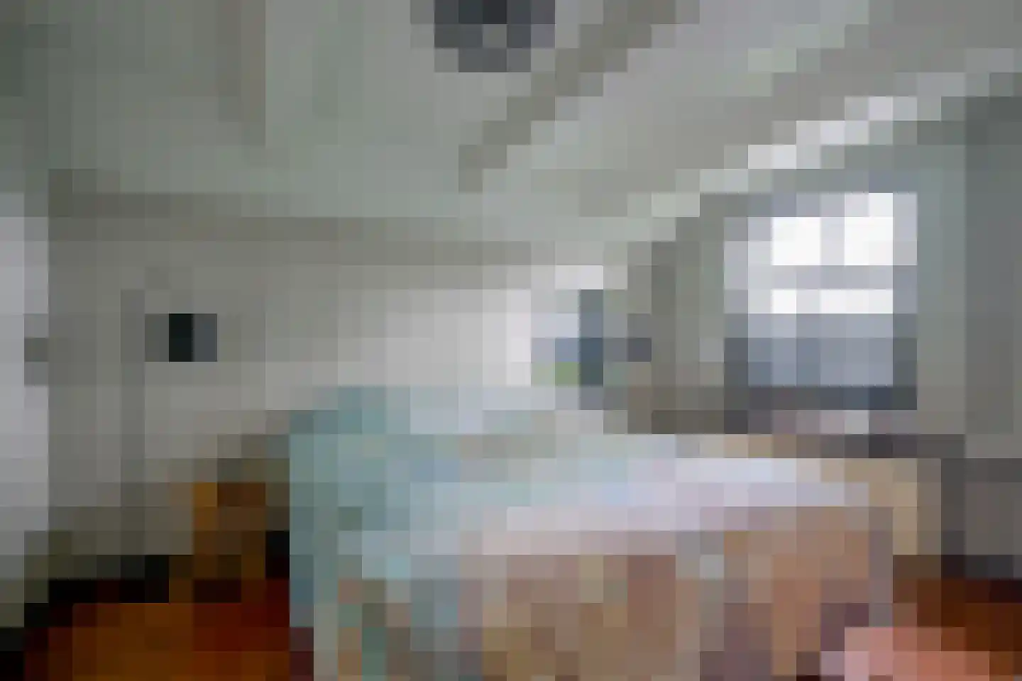 Oosteinde 10 Opperdoes thumbnail 29
