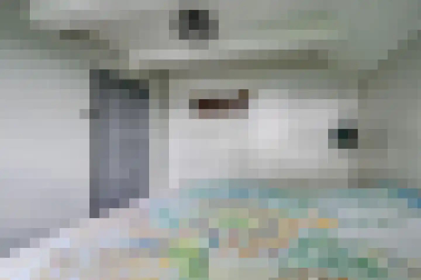 Oosteinde 10 Opperdoes thumbnail 31