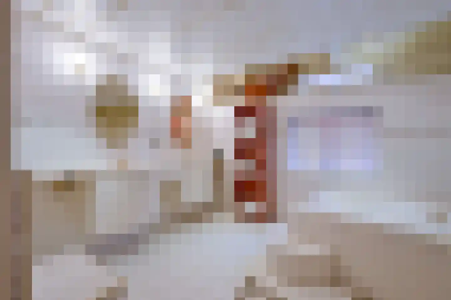 Oosteinde 10 Opperdoes thumbnail 32