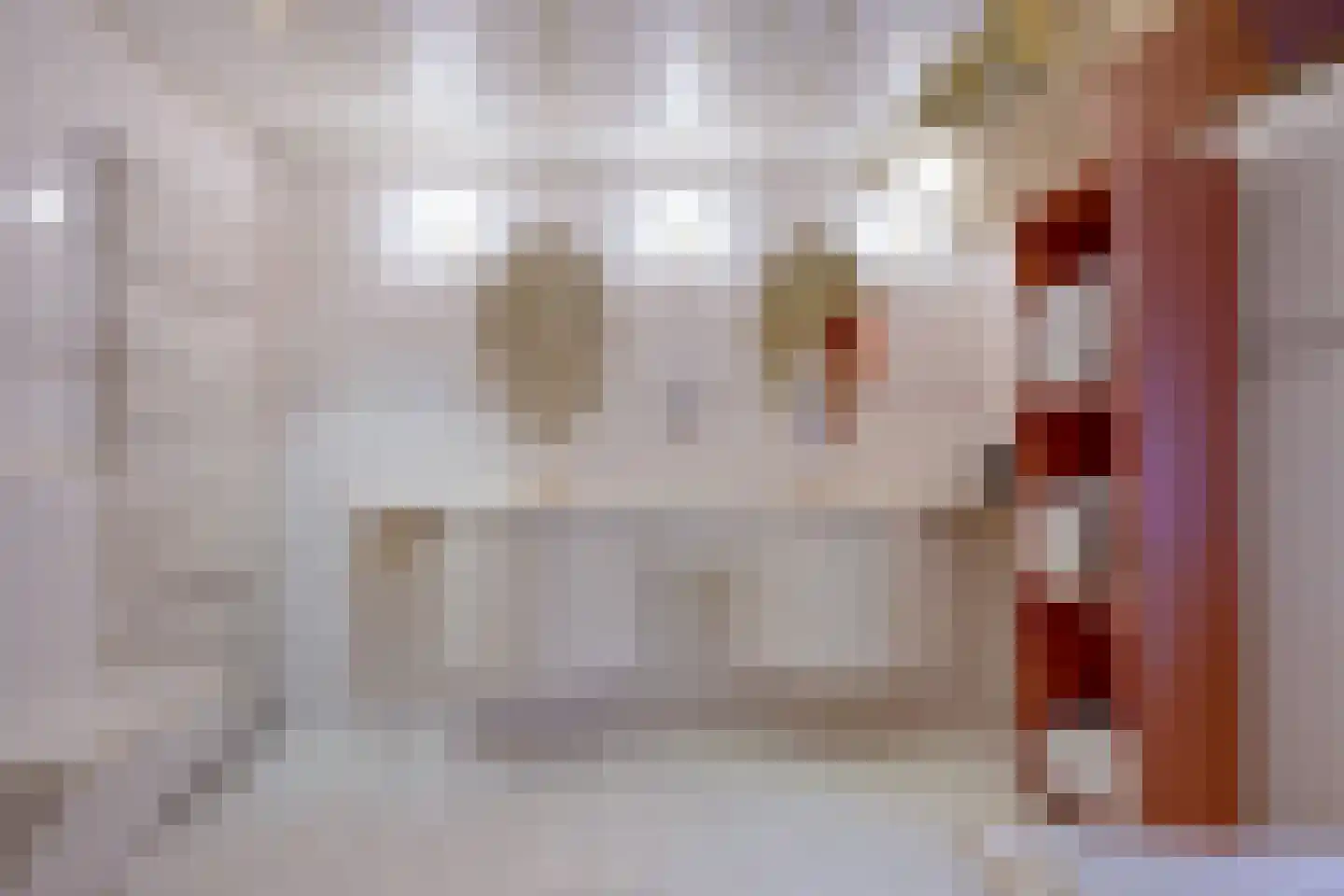 Oosteinde 10 Opperdoes thumbnail 33