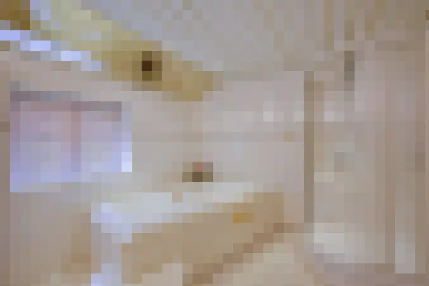 Oosteinde 10 Opperdoes thumbnail 34