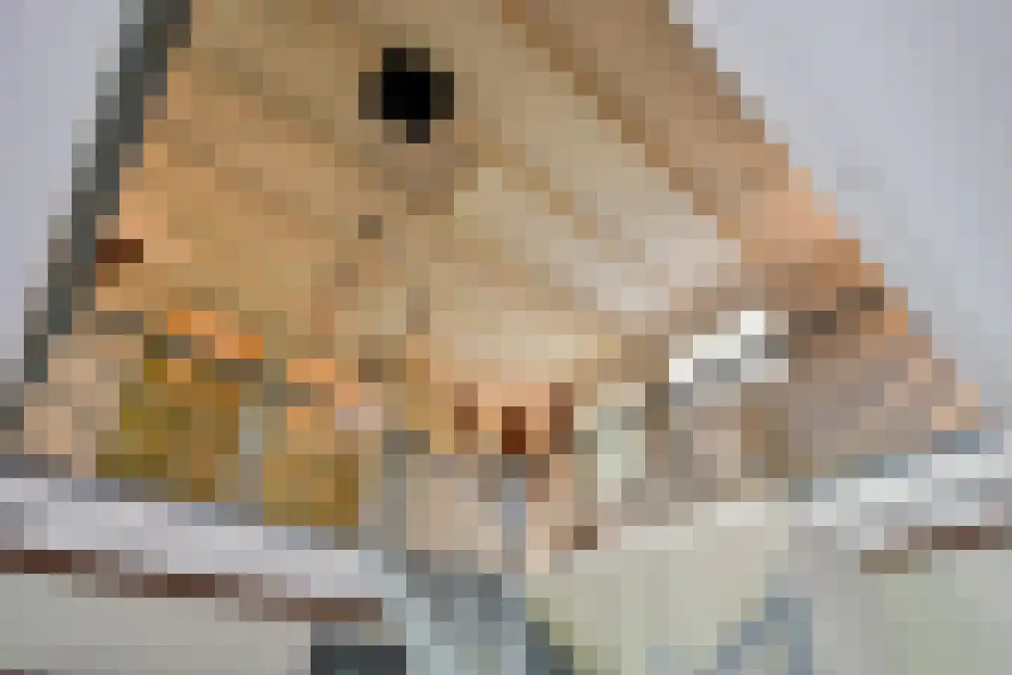 Oosteinde 10 Opperdoes thumbnail 37