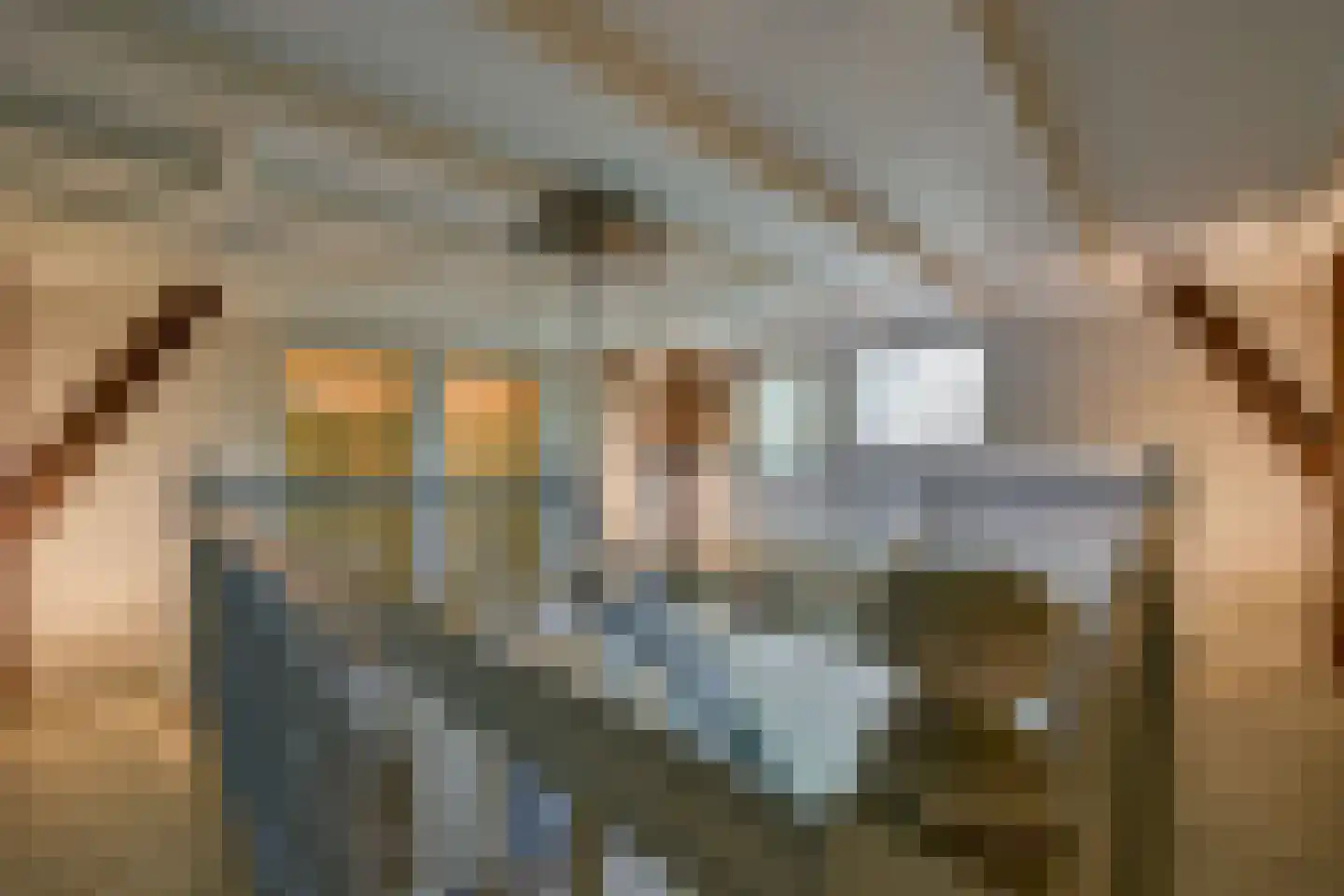 Oosteinde 10 Opperdoes thumbnail 42