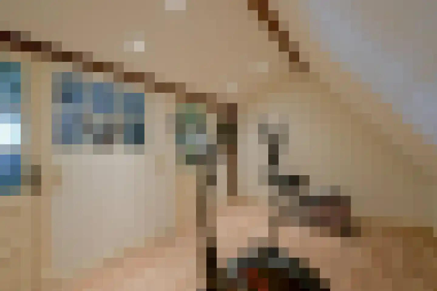 Oosteinde 10 Opperdoes thumbnail 43