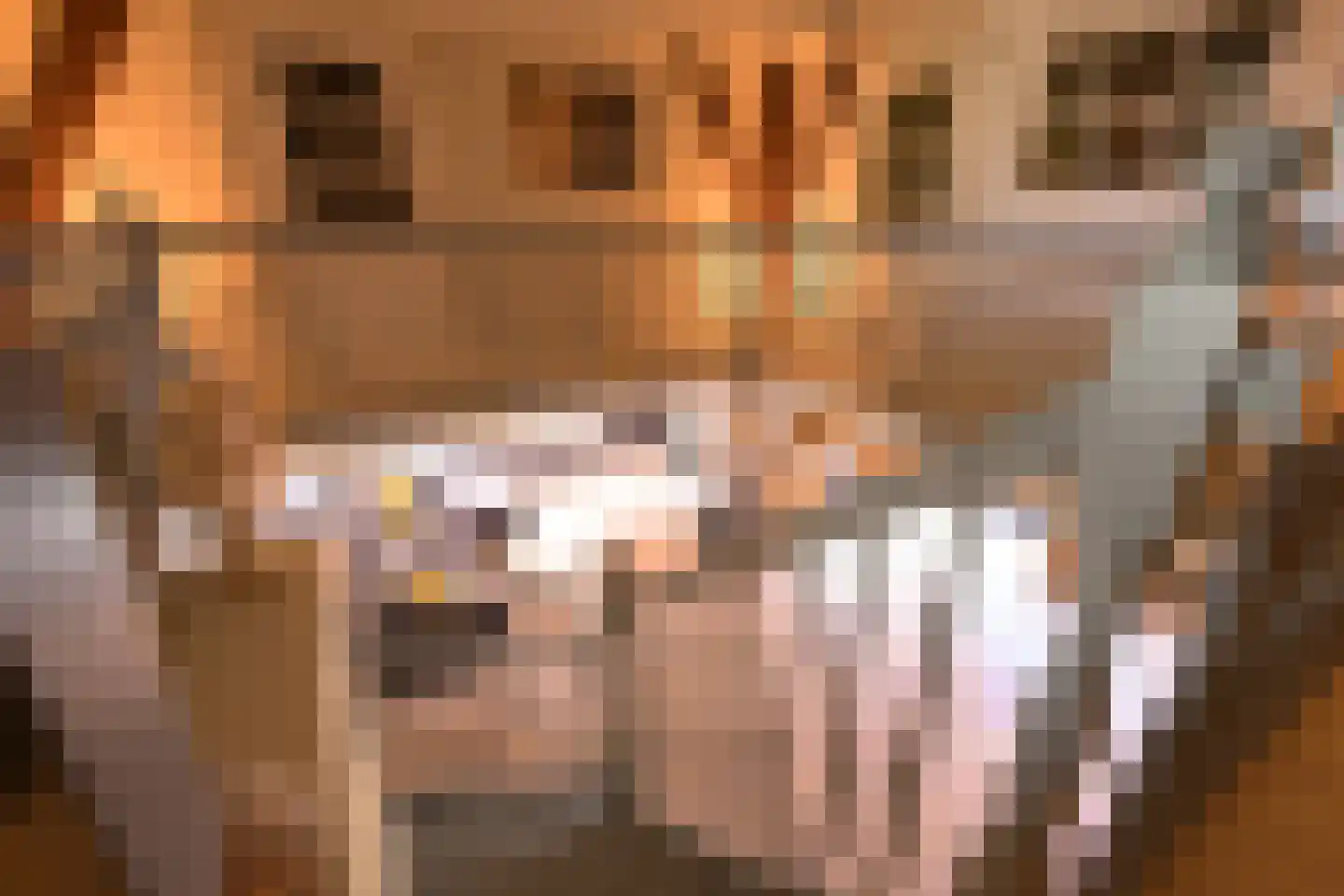Oosteinde 10 Opperdoes thumbnail 45