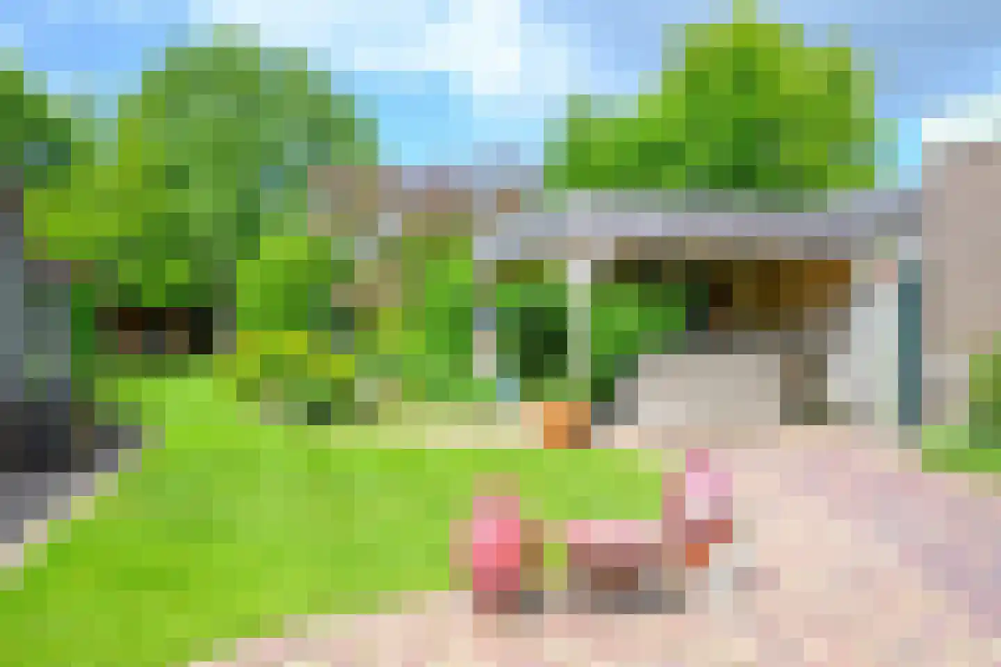 Oosteinde 10 Opperdoes thumbnail 47