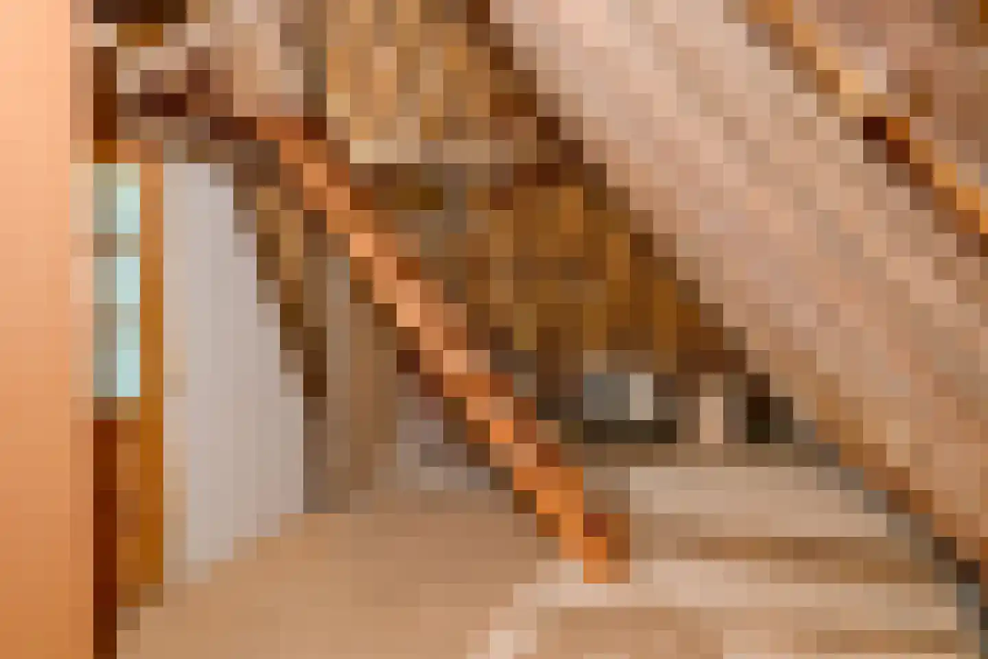Oosteinde 10 Opperdoes thumbnail 48
