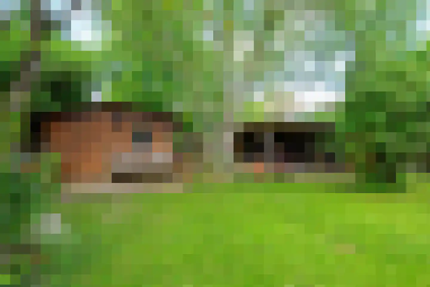 Oosteinde 10 Opperdoes thumbnail 49