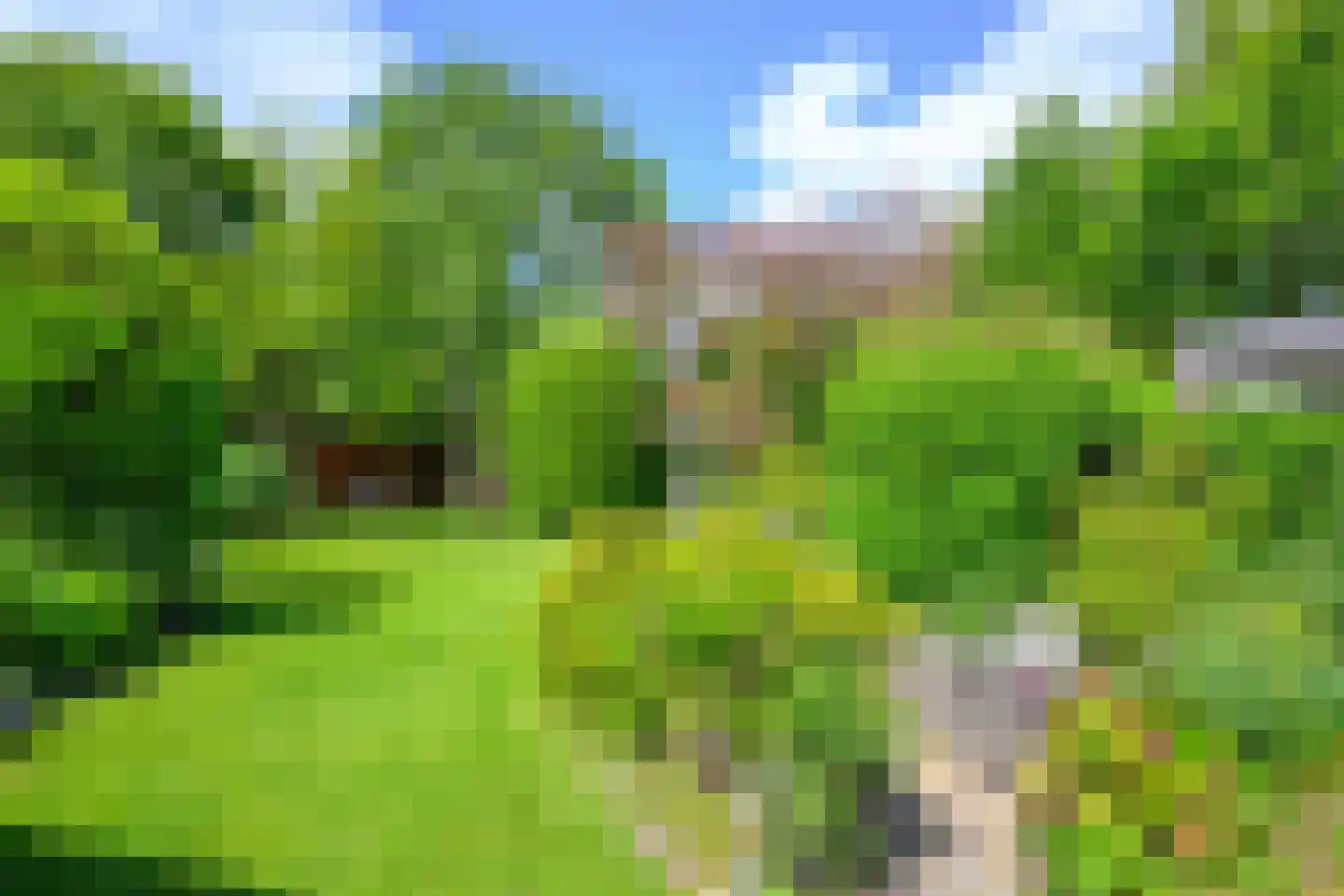 Oosteinde 10 Opperdoes thumbnail 5