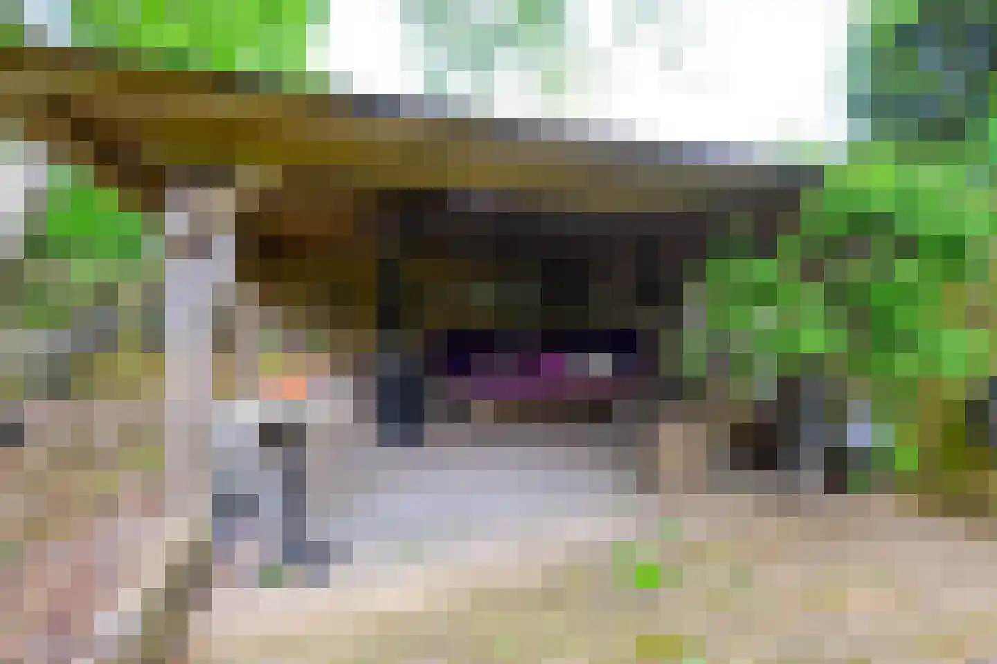 Oosteinde 10 Opperdoes thumbnail 51
