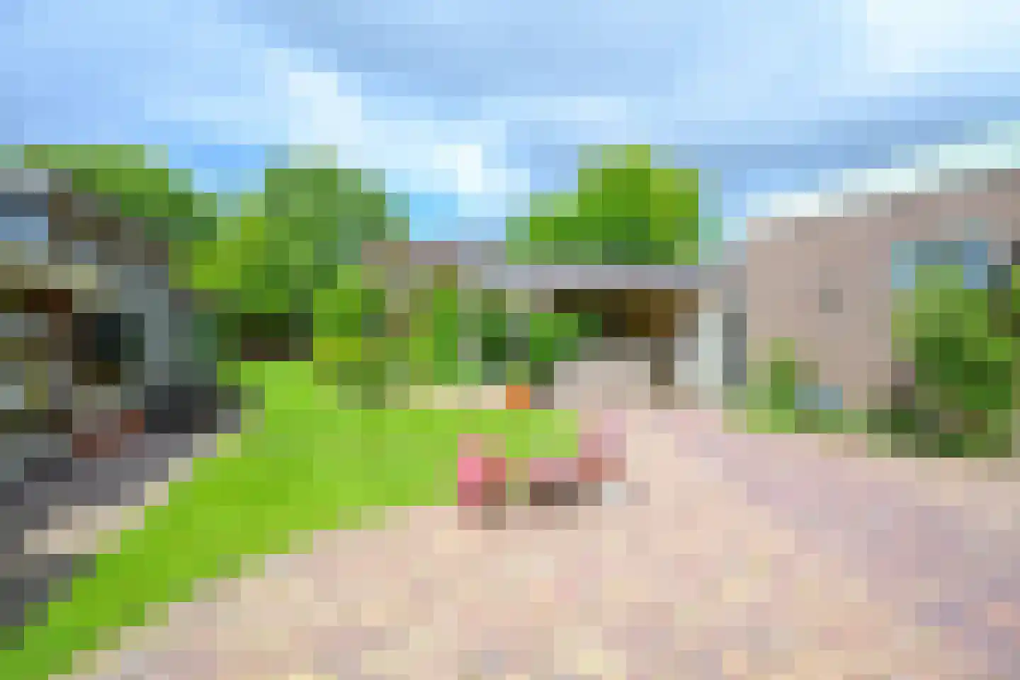 Oosteinde 10 Opperdoes thumbnail 6