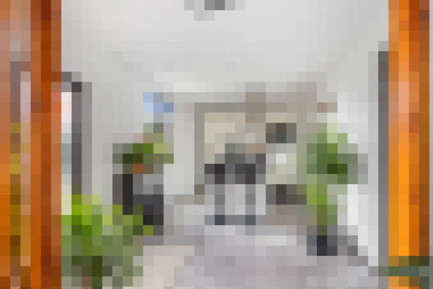 Oosteinde 10 St.-Jacobiparochie thumbnail 27