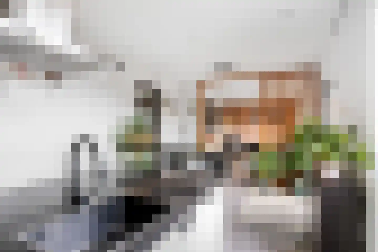 Oosteinde 10 St.-Jacobiparochie thumbnail 28