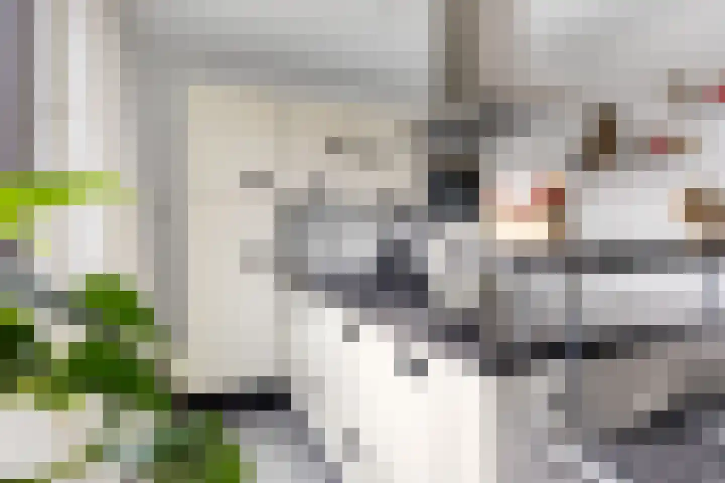 Oosteinde 10 St.-Jacobiparochie thumbnail 29