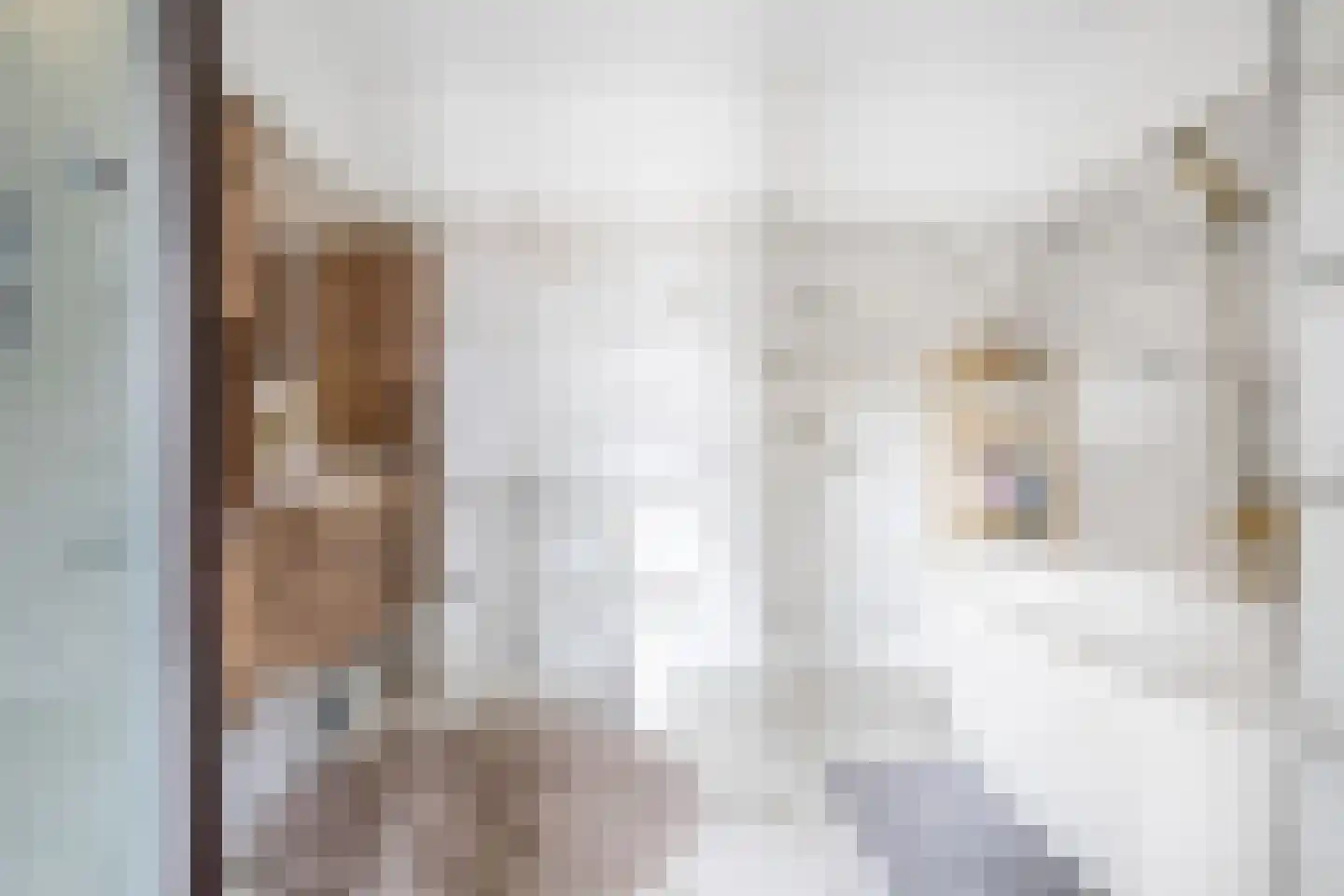 Oosteinde 10 St.-Jacobiparochie thumbnail 30