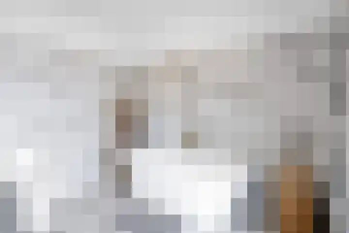 Oosteinde 10 St.-Jacobiparochie thumbnail 31