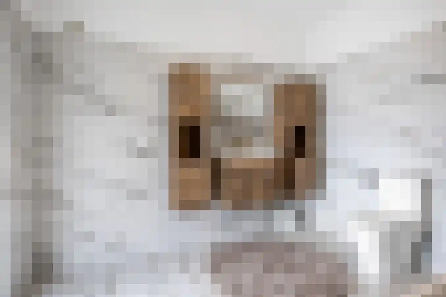 Oosteinde 10 St.-Jacobiparochie thumbnail 32
