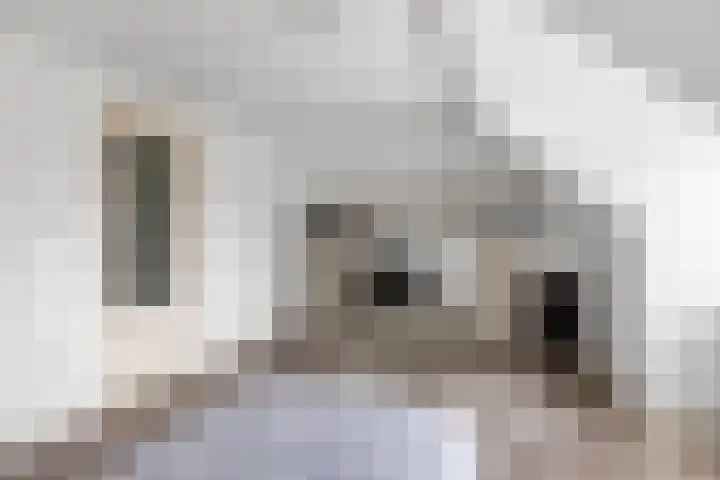 Oosteinde 10 St.-Jacobiparochie thumbnail 44