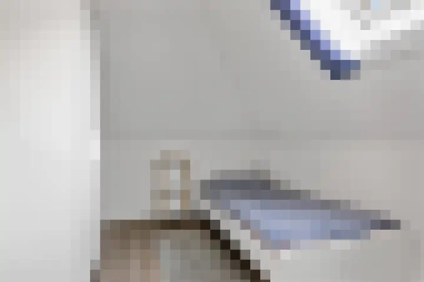 Oosteinde 10 St.-Jacobiparochie thumbnail 47