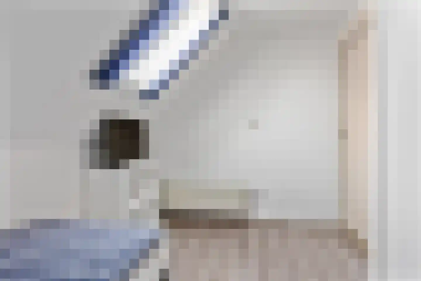 Oosteinde 10 St.-Jacobiparochie thumbnail 48