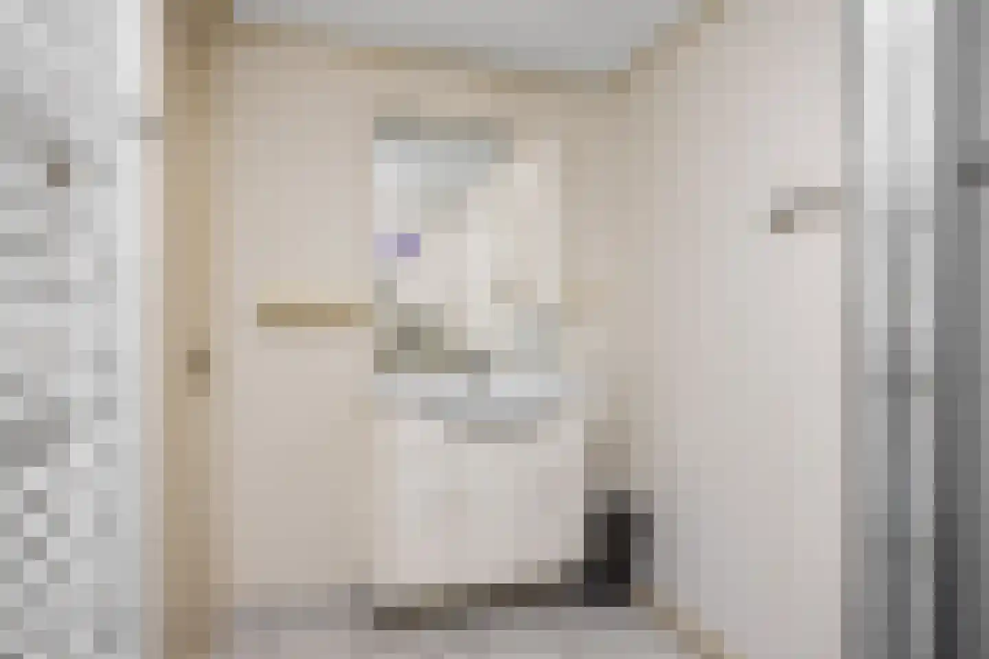 Oosteinde 10 St.-Jacobiparochie thumbnail 62
