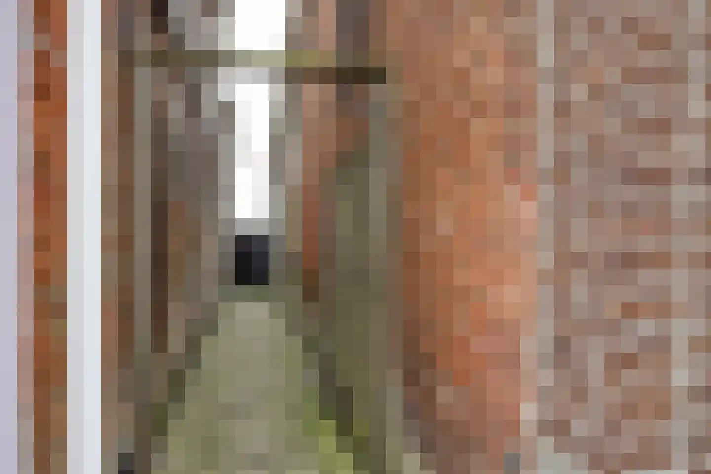 Oosteinde 10 St.-Jacobiparochie thumbnail 66
