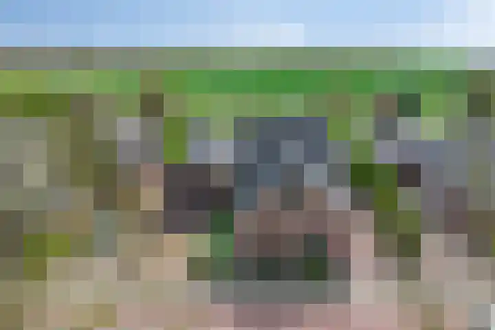 Oosteinde 101 Berkhout