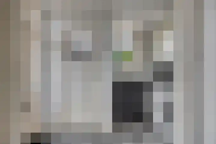 Oosteinde 101 Berkhout thumbnail 16