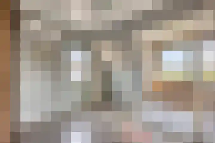 Oosteinde 101 Berkhout thumbnail 20