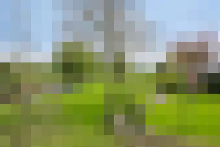 Oosteinde 101 Berkhout thumbnail 36